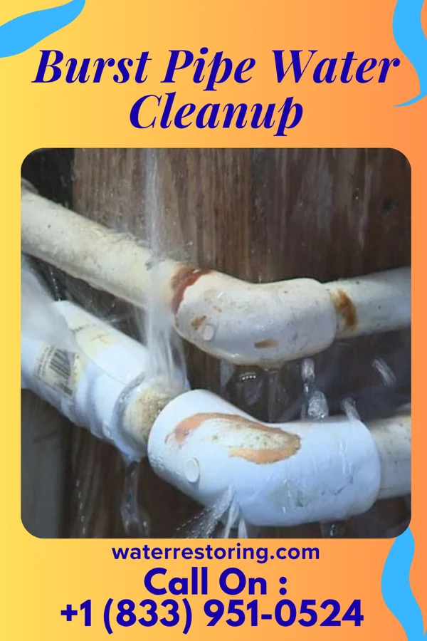 Burst Pipe Water Cleanup in West Elkton, OH