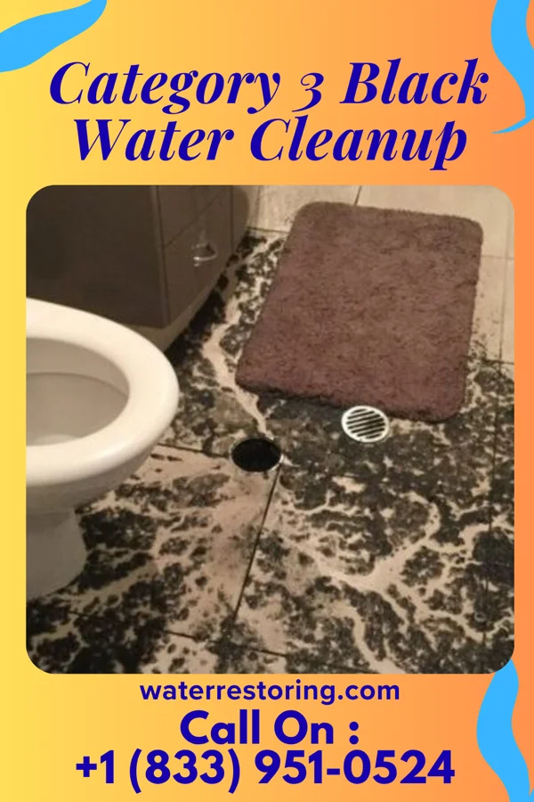 Category 3 Black Water Cleanup in West Elkton, OH