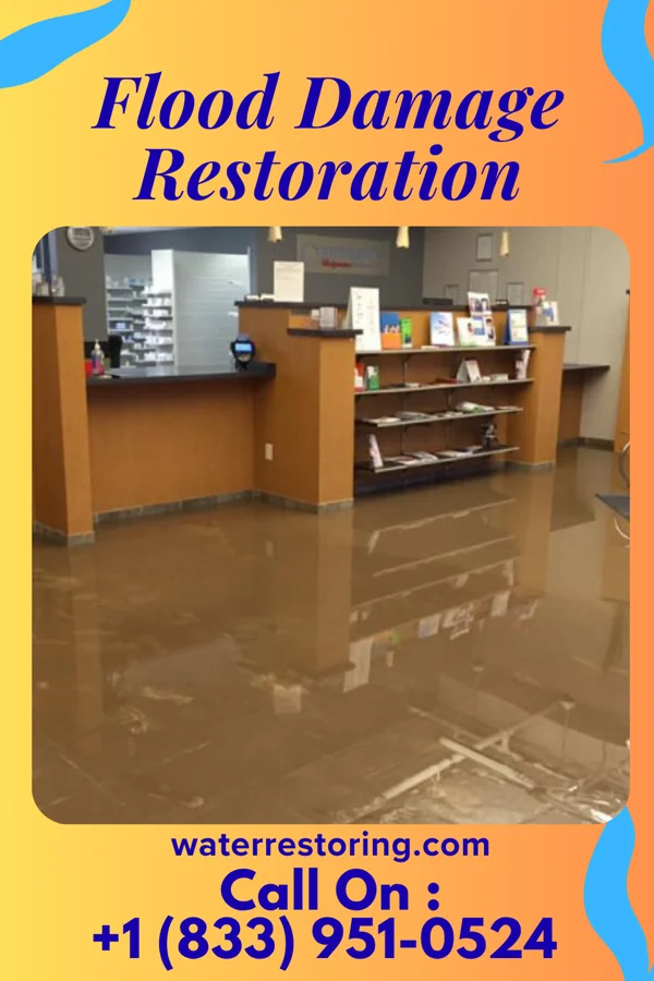 Flood Damage Restoration in West Elkton, OH