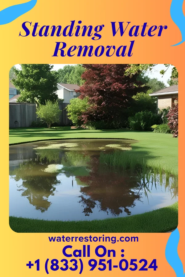 Standing Water Removal in West Elkton, OH